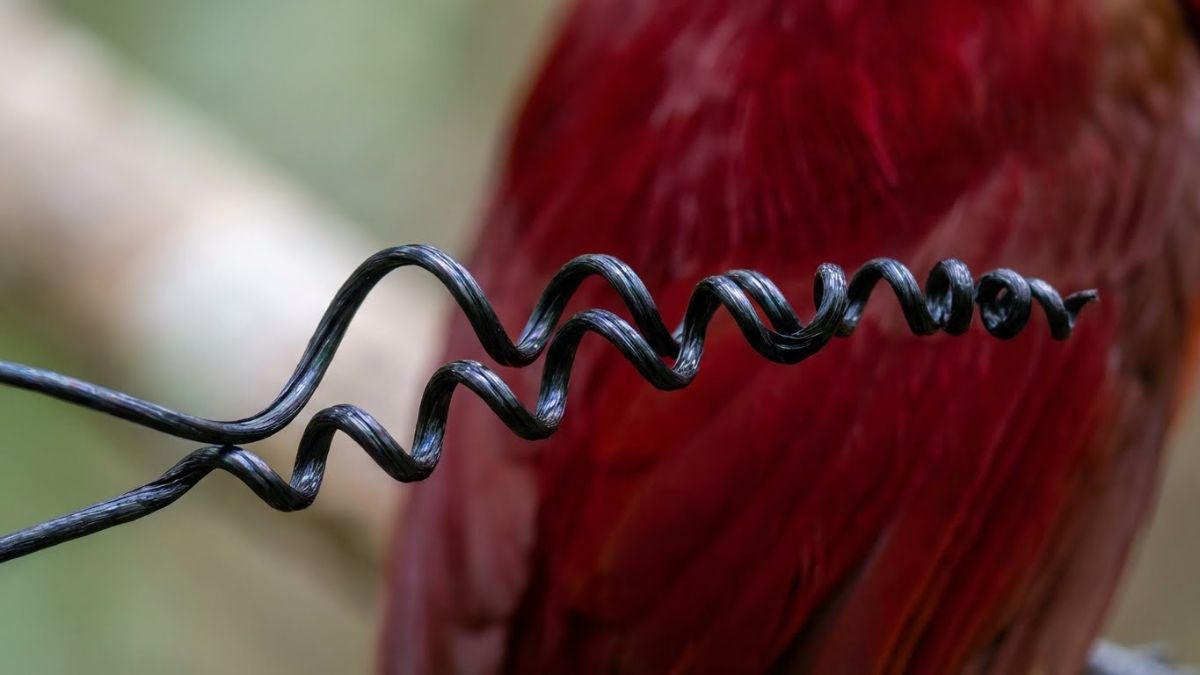 Detail kawat ekor spiral